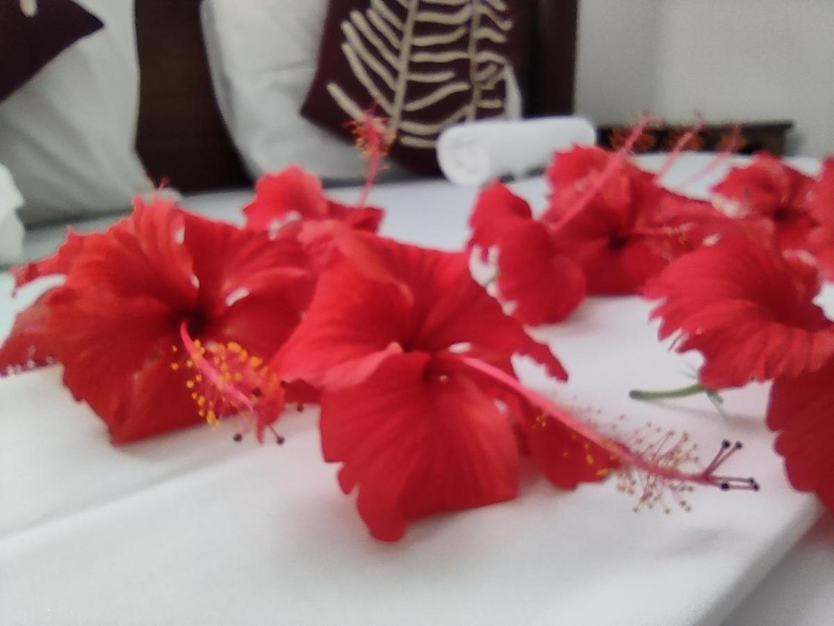 Uroa Beach Lodge 外观 照片