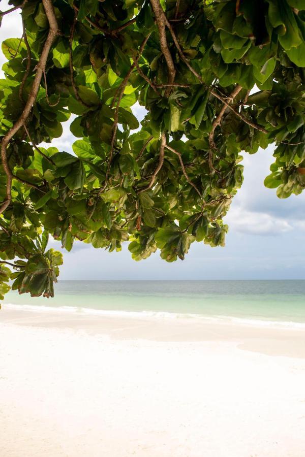 Uroa Beach Lodge 外观 照片