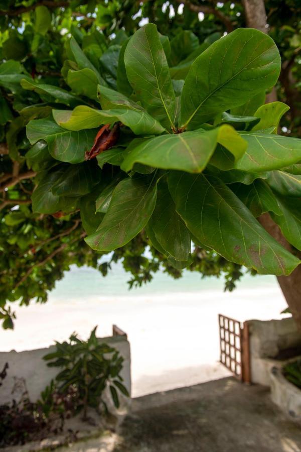 Uroa Beach Lodge 外观 照片